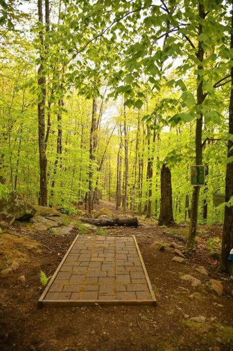 Treehouse In Maine Woods- The Grand Oak Villa Lovell Exterior photo