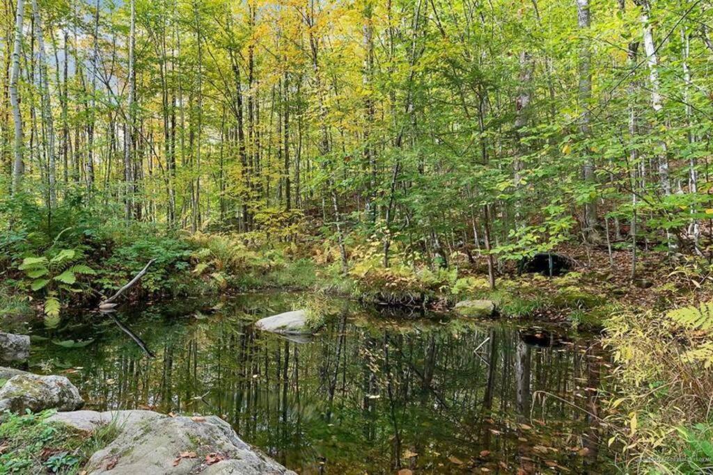 Treehouse In Maine Woods- The Grand Oak Villa Lovell Exterior photo