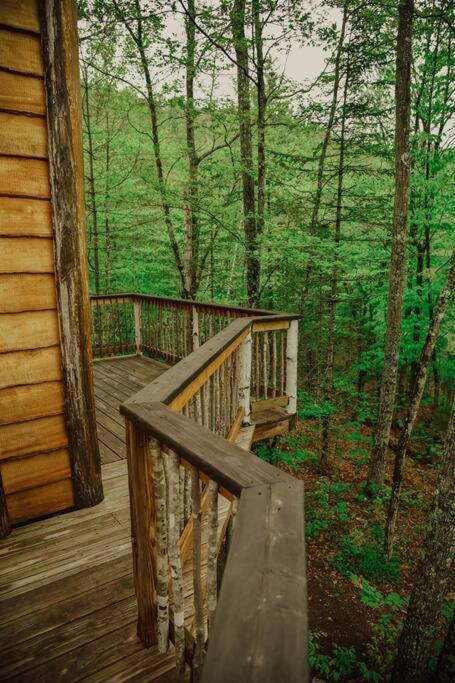 Treehouse In Maine Woods- The Grand Oak Villa Lovell Exterior photo