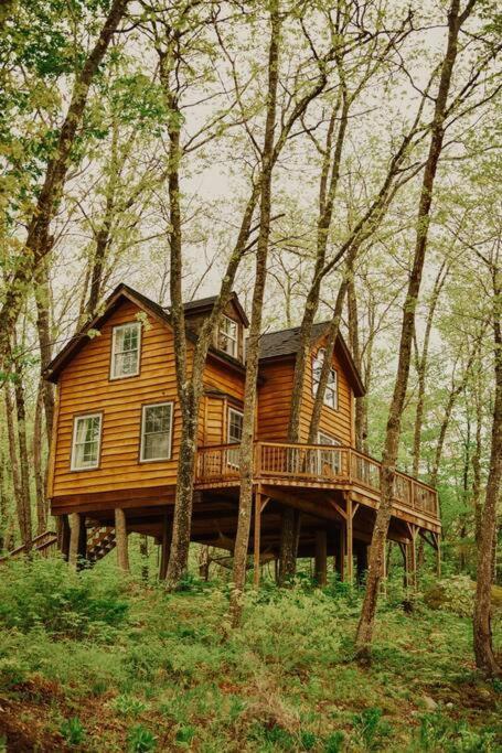 Treehouse In Maine Woods- The Grand Oak Villa Lovell Exterior photo