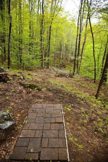 Treehouse In Maine Woods- The Grand Oak Villa Lovell Exterior photo